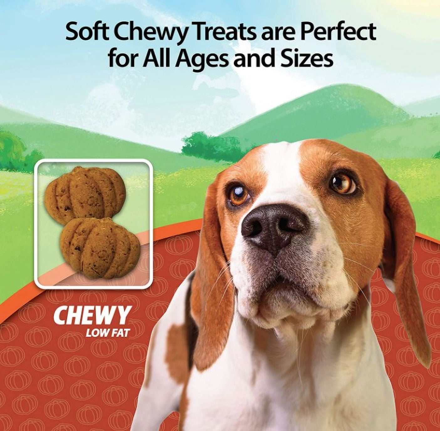 4 Pack Emerald Pet Pumpkin Harvest Oven Baked Dog Treats with Sweet Potato [USA Dog Treats, Bulk Dog Supplies, Emerald Pet] 24 oz (4 x 6 oz)