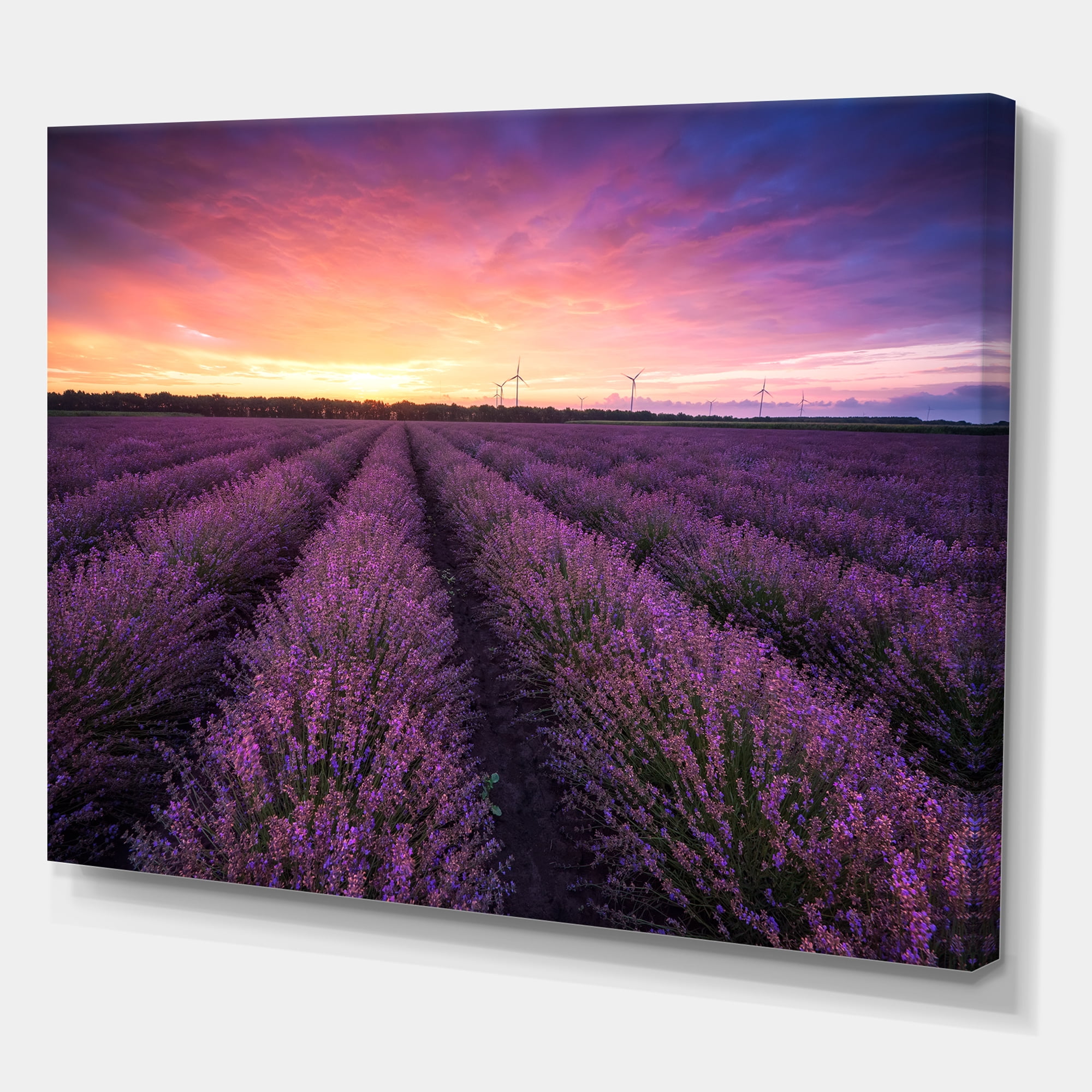 Designart ' Dramatic Clouds and Sunrise Over Lavender Field XIII ' Farmhouse Canvas Wall Art Print