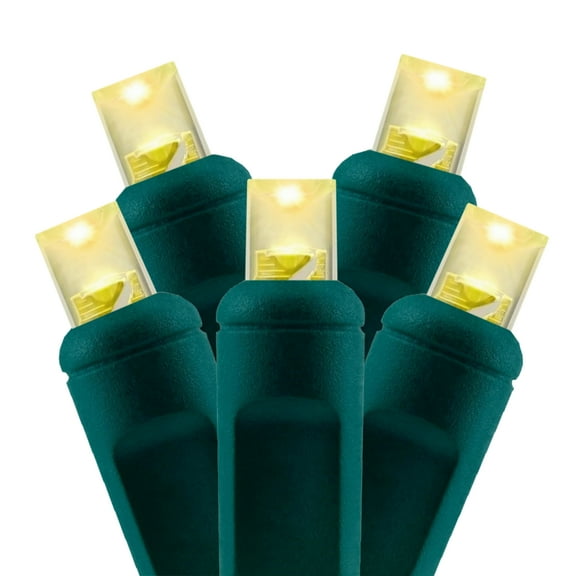 Outdoor Christmas Lights, 24Ft 70 Count Warm White Mini 5MM LED String Lights on Green Wire