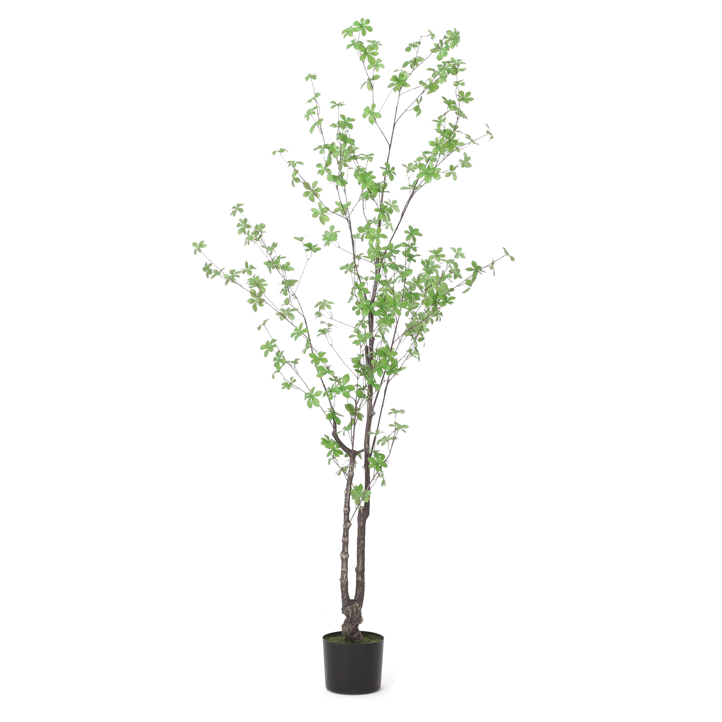 Noble House Coles 6' x 3' Artificial Enkianthus Tree, Green