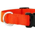 thumbnail image 7 of Country Brook Design&reg; Deluxe Nylon Dog Collar and Leash, 7 of 7