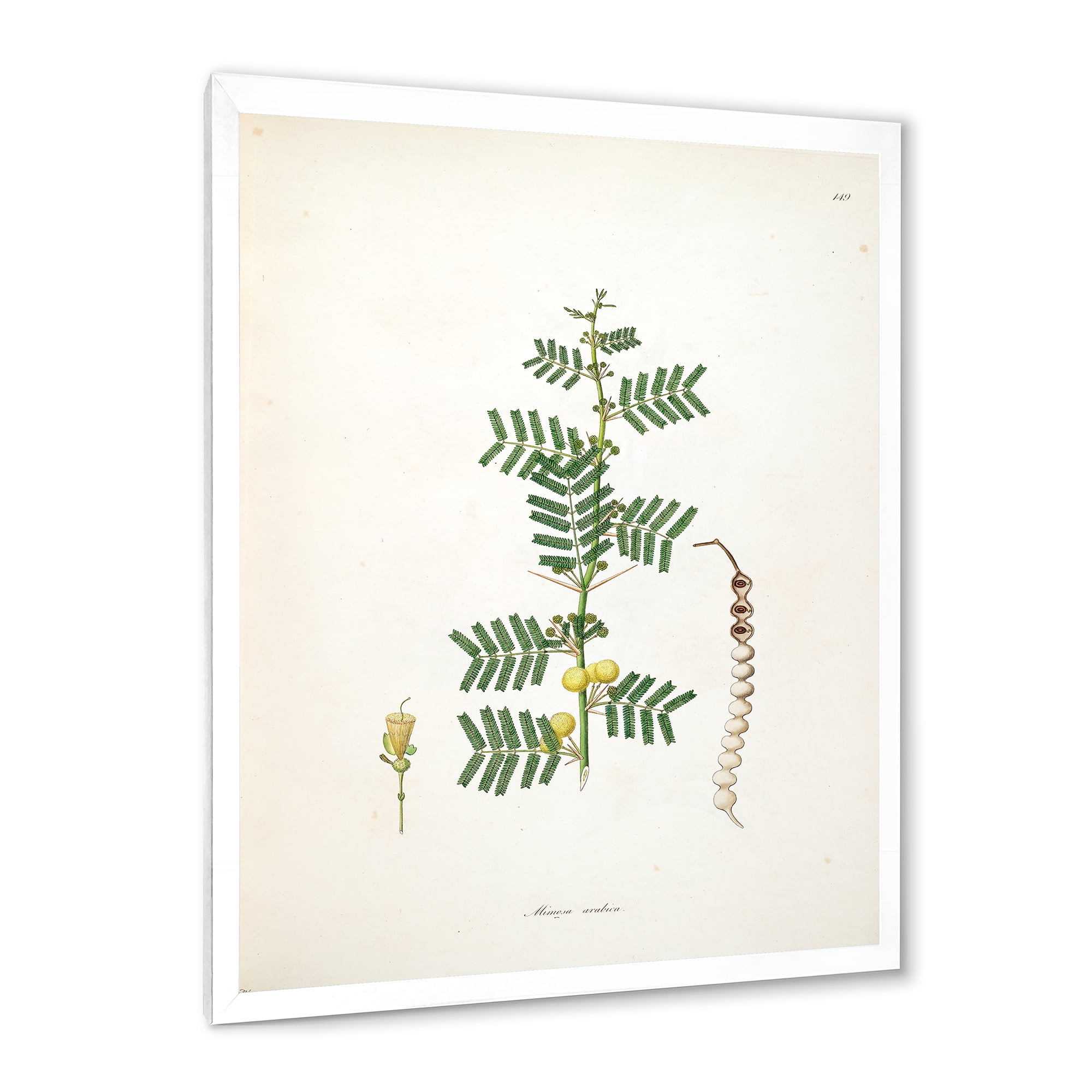 Designart 'Ancient Blossoming Flower III' Farmhouse Framed Art Print
