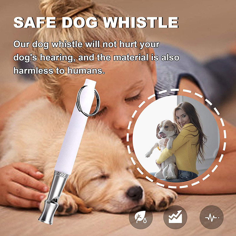 Can Dog Whistles Hurt Dogs