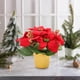 thumbnail image 4 of Poinsettias Artificial Potted Poinsettias Artificial Red Christmas Pots Flowers Easter False Bonsai Arrangements Easter Christmas For Home Office, 4 of 5