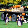thumbnail image 4 of XGFHYJEH Porch Goose Outfits Halloween 23", Porch Goose Clothes Clearance for Porch Goose, Porch Goose Accessories, Goose Costume Clothing for Outdoor Outside Garden Yard Lawn, 4 of 7