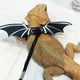 thumbnail image 5 of Bearded Dragon Lizard Leash Harness - 3 Size Pack Dinosaur Wing Lizard Harness Leash for Bearded Dragon Lizard, 5 of 5