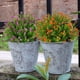 thumbnail image 2 of Flores Artificiales Naranja, Rojo Jormftte WMZL-2112-2, 2 of 7