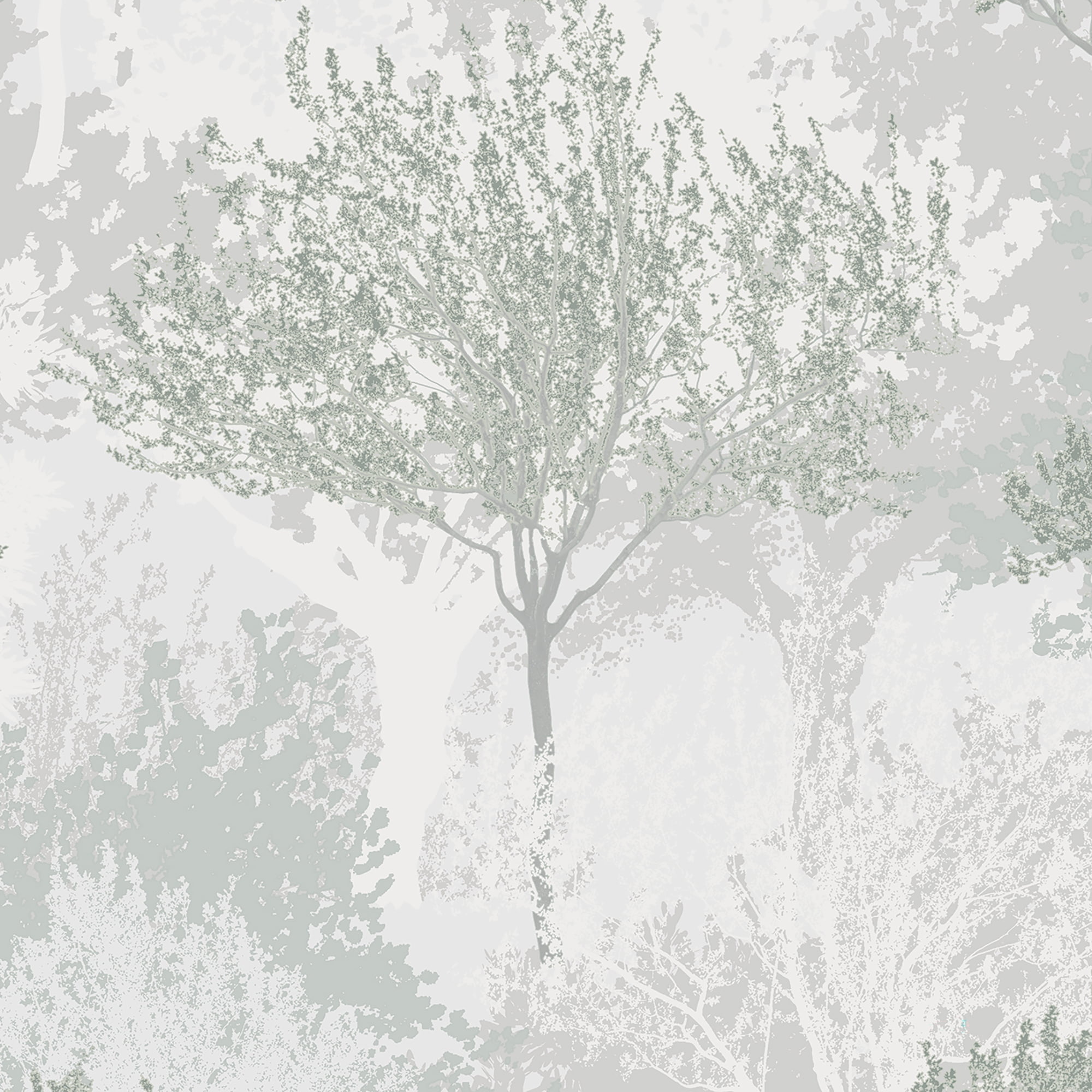 Birch Sage Wallpaper
