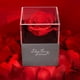 thumbnail image 5 of Rosa Real Roja Conservada Con Collar Te Amo En 100 Idiomas - Regalos De Rosas De Flores Eternas Para Mamá, Esposa, Novia, Ella En Navidad, Día De San Valentín, 5 of 5