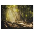 thumbnail image 2 of Rayons de Soleil à Travers les Arbres Verts - Impression sur Toile Photographie de Paysage, 2 of 3