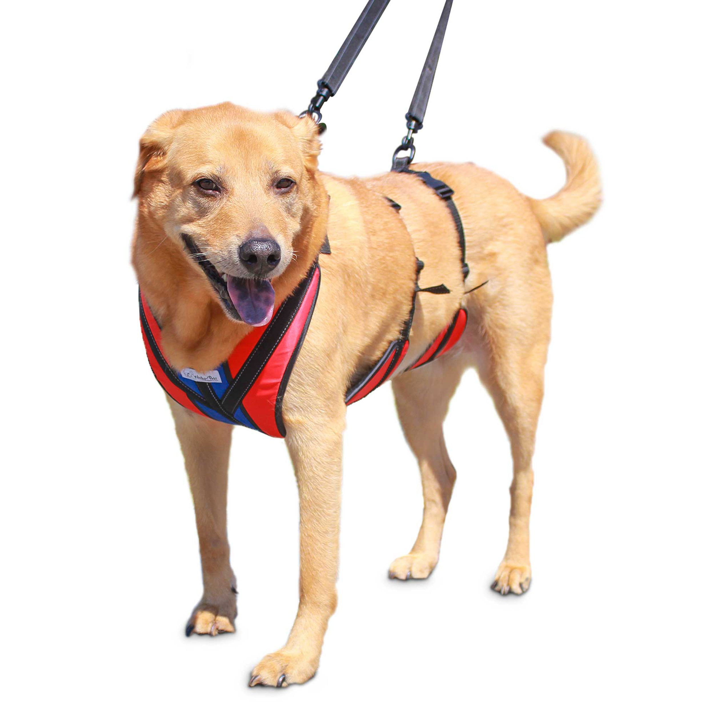 LiftnStep Dog Harness for Full Body Support Helps Dogs with