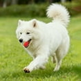 thumbnail image 4 of WIFKLSIIPG Indestructible Tennis Silent EVA Chew pour Petits et Chiots Interactif, 4 of 4