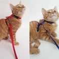 thumbnail image 4 of LEEYNEER Harnais Réglable en Nylon pour Chat Chiot Collier Laisse Traction Corde de Sécurité, 4 of 8
