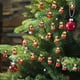 thumbnail image 5 of 2025 Christmas Countdown Calendar Featuring 24 Surprise Gifts Including Adorable 2D Baby Dolls Stunning Christmas Pendant From The Festive, 5 of 9