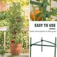 thumbnail image 2 of NOGIS 24PCS Stake Arms for Tomato Cage，Expandable Trellis Connectors-11.8" with 2 Buckles for Tomato Cage Attach 11mm Diameter Plant Stakes, 2 of 7