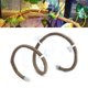 thumbnail image 4 of Rama trepadora de reptiles artificiales, selva flexible, decoración de hábitat de vid larga de ratán de 3,28 pies (L), 4 of 8