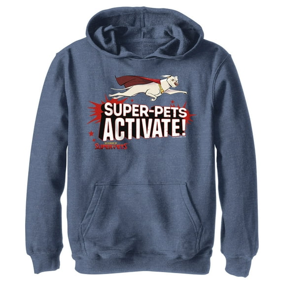 Boy's DC League of Super-Pets Krypto Super-Pets Activate  Pull Over Hoodie Navy Blue Heather X Large