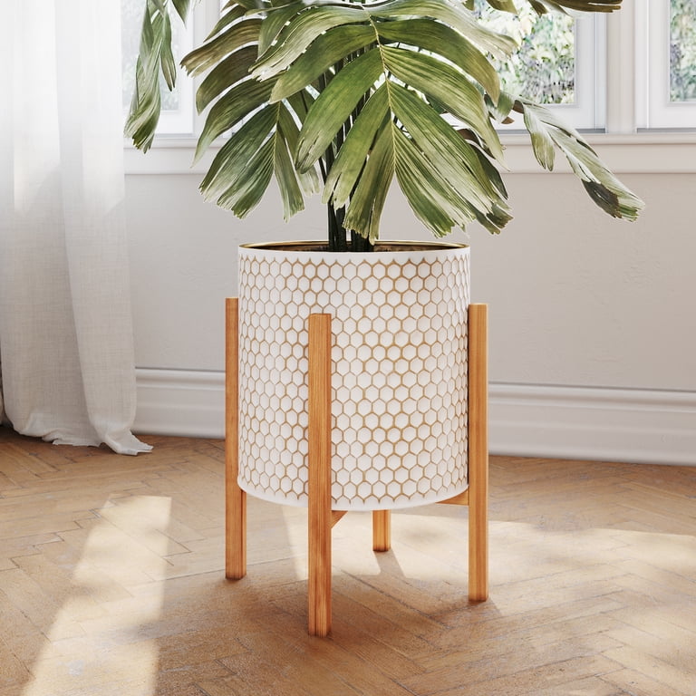 fig tree indoor plant Fiddle Leaf Fig Potted Houseplant