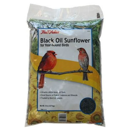 black sunflower seed 50 lbs walmart jrk seed turf supply b115905 black sunflower bird black sunflower seed 50 lbs walmart jrk seed turf supply b115905 black sunflower bird