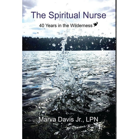 Spiritual Nursing The Spiritual Nurse: 40 Years in the wilderness, Book 1, (Hardcover)