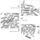 thumbnail image 3 of 50pcs Partition Support Pegs Support Pegs Pegs Soporte de soporte de vestimenta Soportes, 3 of 6