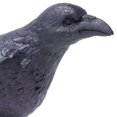 thumbnail image 5 of Safari S150829 Wings Of The World Raven Miniatura De Plástico En Miniatura, 5 of 5