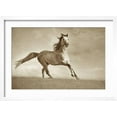 thumbnail image 2 of Art.com Like the Wind Photographic Print by Lisa Dearing, White Frame Wall Art, 23" x 17", 2 of 5