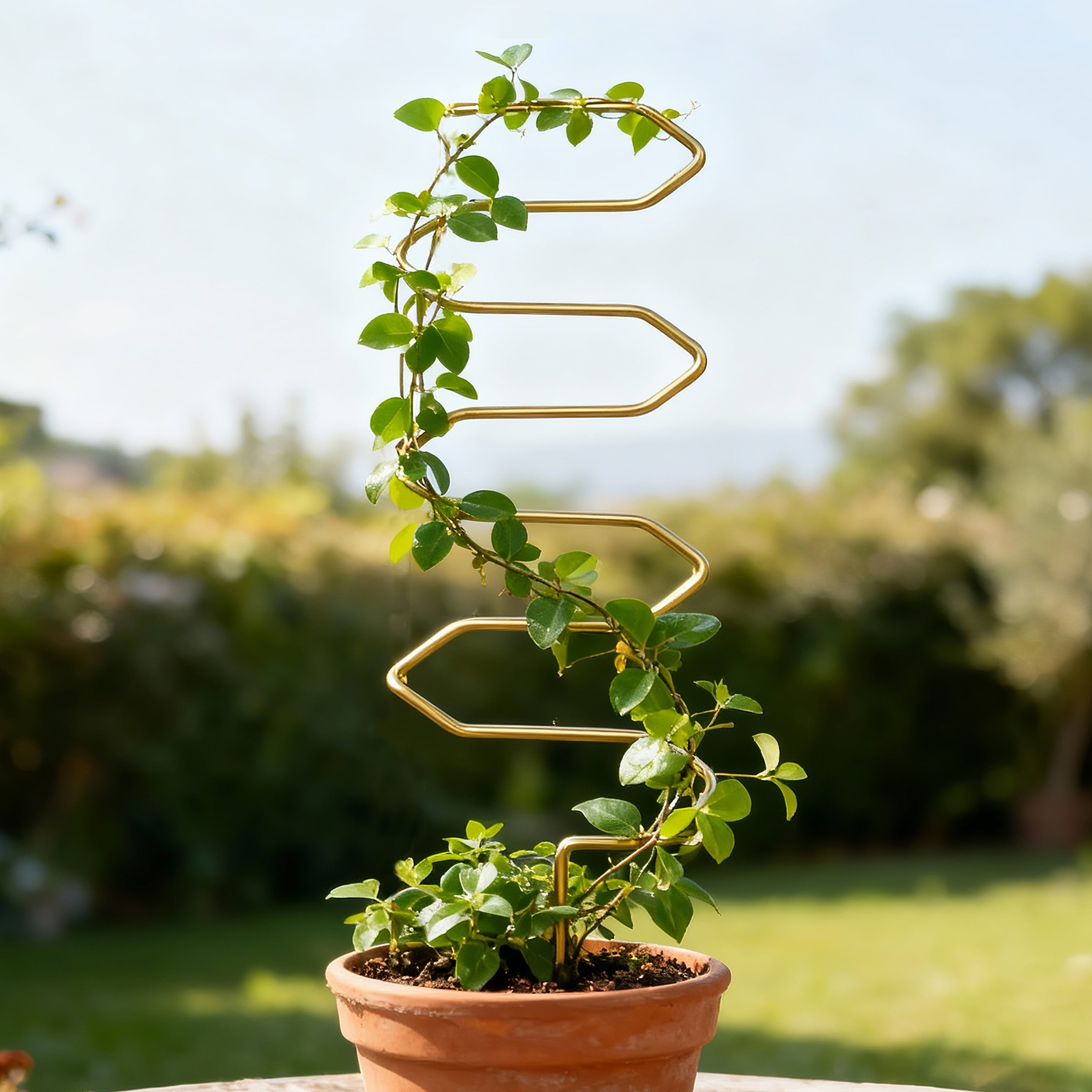 Better Homes & Gardens Golden Metal Plant Stakes, Set of 2, 13