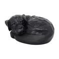 thumbnail image 4 of Urna conmemorativa para mascotas, recuerdo, figura conmemorativa, organizador, urnas de cenizas para mascotas, para repisa de chimenea, mesa, 4 of 8