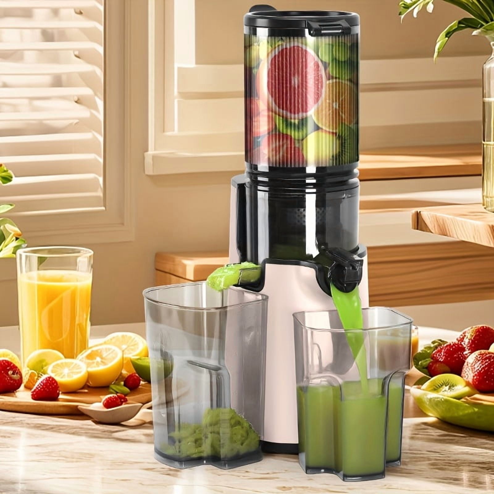 Fanruina Cold Press Juicer Masticating Juicer with Wide Feed Chute 350W Slow Juicer Ideal for Whole Fruits And Vegetables High Juice Yield