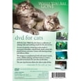 thumbnail image 2 of DVD For Cats: While You Are Gone DVD, 2 of 3
