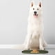thumbnail image 2 of Alfombrilla para Comida DogBuddy Verde Caqui Antideslizante Impermeable para Perro Pequeño, 2 of 7