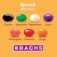 thumbnail image 3 of Brach's Spiced Jelly Bean, Easter Candy, Easter Basket Stuffers, 7oz, 3 of 7