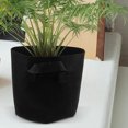 thumbnail image 4 of WEUVEB 5Ud Bolsas De Cultivo De Fieltro Negras Con Asas Para Plantas Plantación Fácil Y Transporte Cómodo, 4 of 8