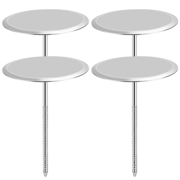 Pawsdot 4 Pcs Icing Tools for Cake Decorating Decorative Nails Stainless Steel Flower Nail for Baking Home Bakers