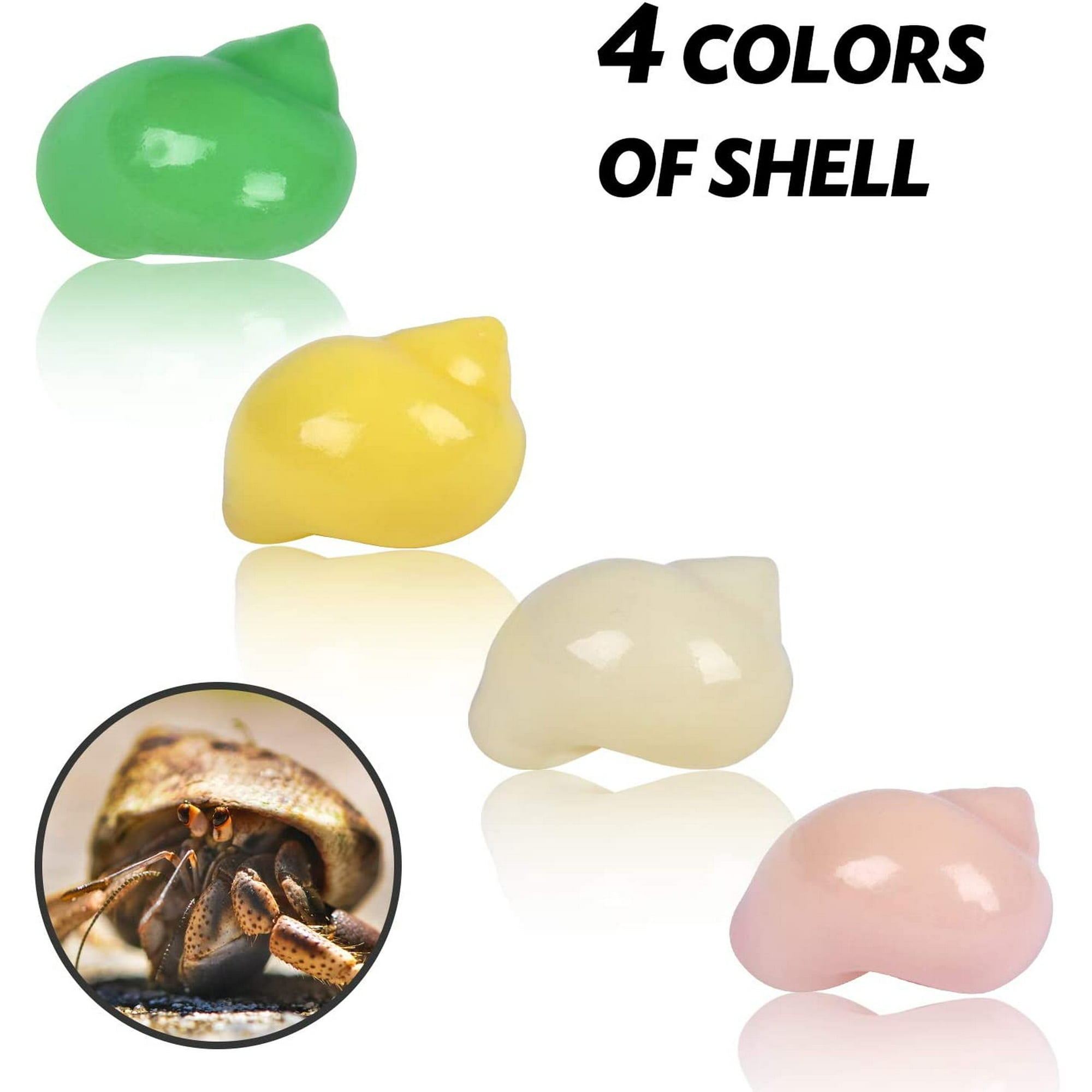 Hermit crab supplies walmart hotsell