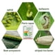thumbnail image 3 of paquetes de insecticida biopesticida para árboles frutales y vegetales Bacillus Thuringiensis, 3 of 3
