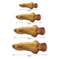 thumbnail image 4 of Realistic Plush Simulation Doll Fish, Funny Interactive Pets Chew Bite Supplies for CatKitty/ Fish Flop Cat Catnip, 4 of 7
