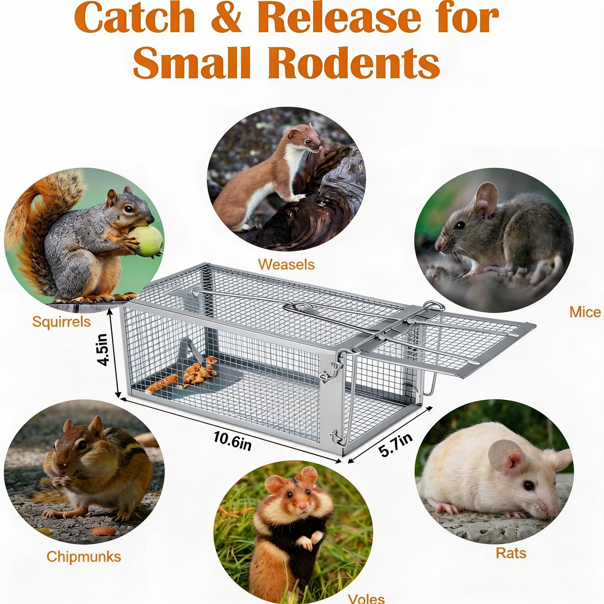 2-Pack Humane Live Catch Mouse Trap Cage, Galvanized Steel Reusable Rodent Trap with Auto Lock Door