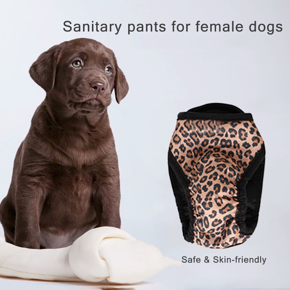 dog panties