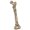 Carved, variant on Vintage Brass Bone Keychain Pendant Decorative Gothic Charm DIY Hanging Ornament
