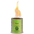 thumbnail image 3 of Paramount Éthanol et Carburant de Gel d'Intérieur/extérieur en Acier en Vert, 3 of 6