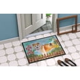 thumbnail image 4 of Carolines Treasures CK1240JMAT Shiba Inu Spring Indoor or Outdoor Mat - 24 x 36 in., 4 of 4