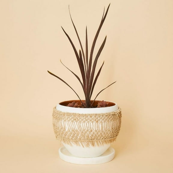 Large Macrame Wrap Terracotta Pot