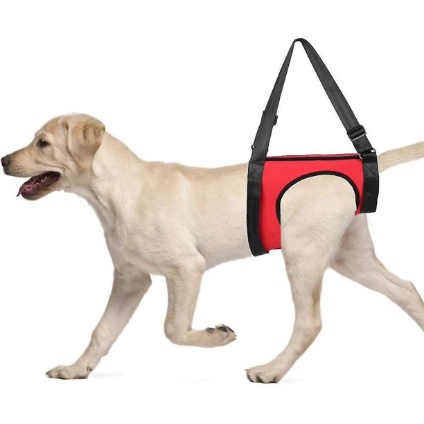 CHAO Arnés de chaleco para perros, arnés de soporte para perros, ayuda para caminar, chaleco de tracción de elevación, chaleco de tracción para perros para ancianos y cachorros heridos (Pa