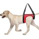 thumbnail image 1 of CHAO Arnés de chaleco para perros, arnés de soporte para perros, ayuda para caminar, chaleco de tracción de elevación, chaleco de tracción para perros para ancianos y cachorros heridos (Pa, 1 of 5
