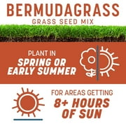 Pennington Smart Seed Bermudagrass Grass, Bermuda Grass Seeds for Lawn, Full Sun, 8.75 lb