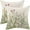 Herbs Plant, variant on Spring Pillow Covers 18 X 18 Inch Set of 2, Sage Green Wildflower Plant Floral Decorative Throw Pillow Covers Farmhouse Outdoor Flower Cushion Cases for Couch Sofa Home Decor