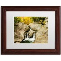 Trademark Fine Art "Fall at the Falls" Canvas Art by Michael Blanchette Photography White Matte, Wood Frame