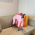 thumbnail image 7 of UOSIA Italian Greyhound Whippet Dog Fleece Dinosaur Onesie, Turtleneck Costume Outfit, 7 of 7